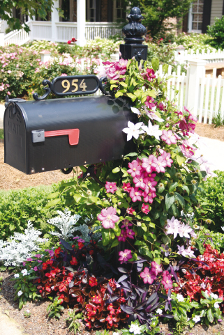 Mailbox Gardens-3
